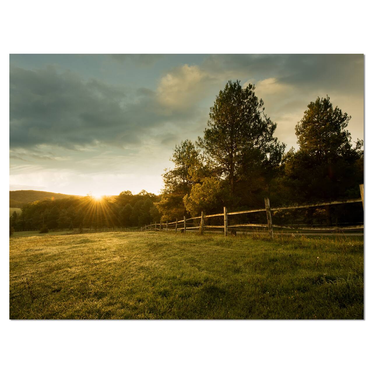 Designart - Beautiful Sunrise in the farm - Landscape Canvas Art Print